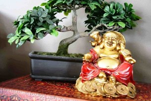 Le bonheur et la prospérité dans la maison par le feng shui