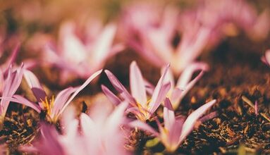 comment fabriquer un porte-bonheur de vos propres mains